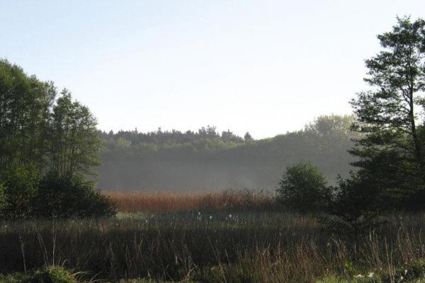 Fewo Ferien Am Schweriner See Flessenow Ngoại thất bức ảnh